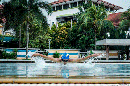 fitspo swimming olympics gif