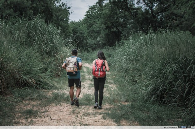 undeclared walking hiking trails singapore directions lalang fields lorong halus dirt tracks punggol
