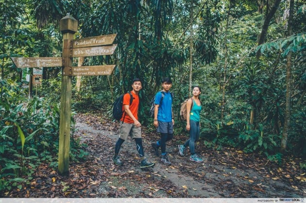 bukit timah nature reserve kampong trail rifle range