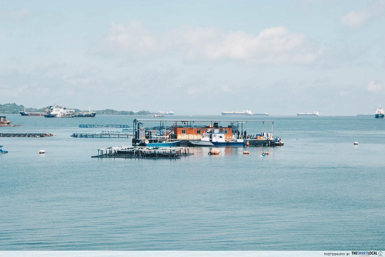Floating fish farm next to Semakau Landfill