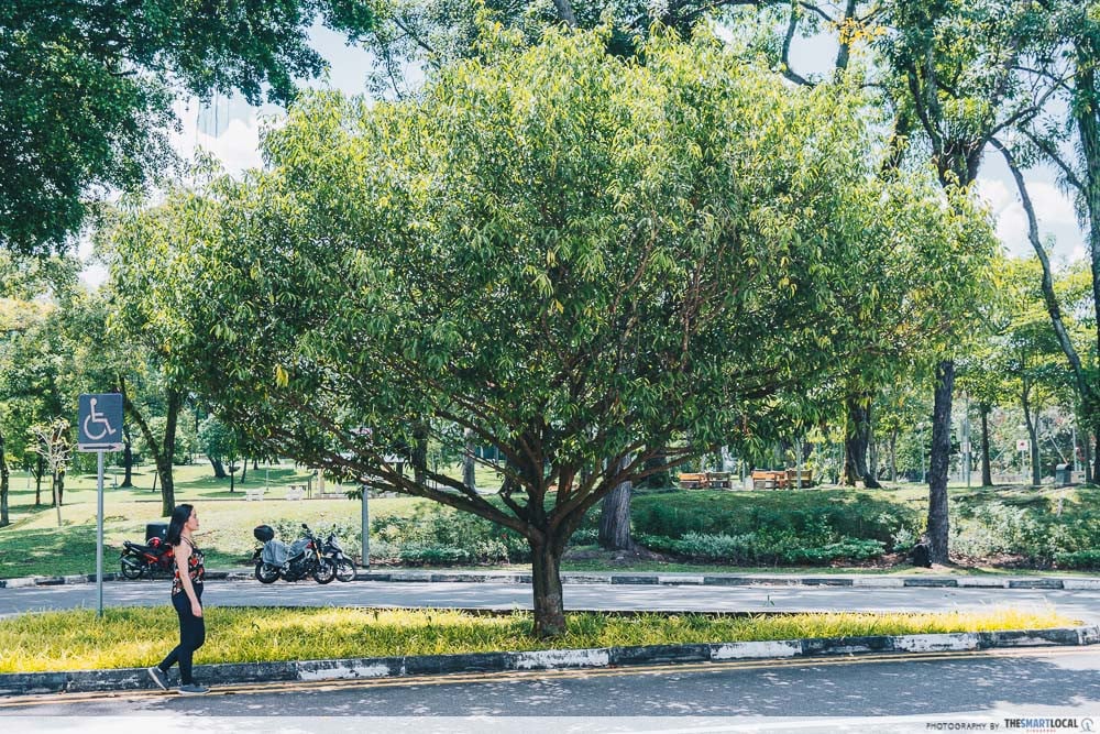 10 Rare Places In Singapore You Have Never Been To That Are Worth The Visit