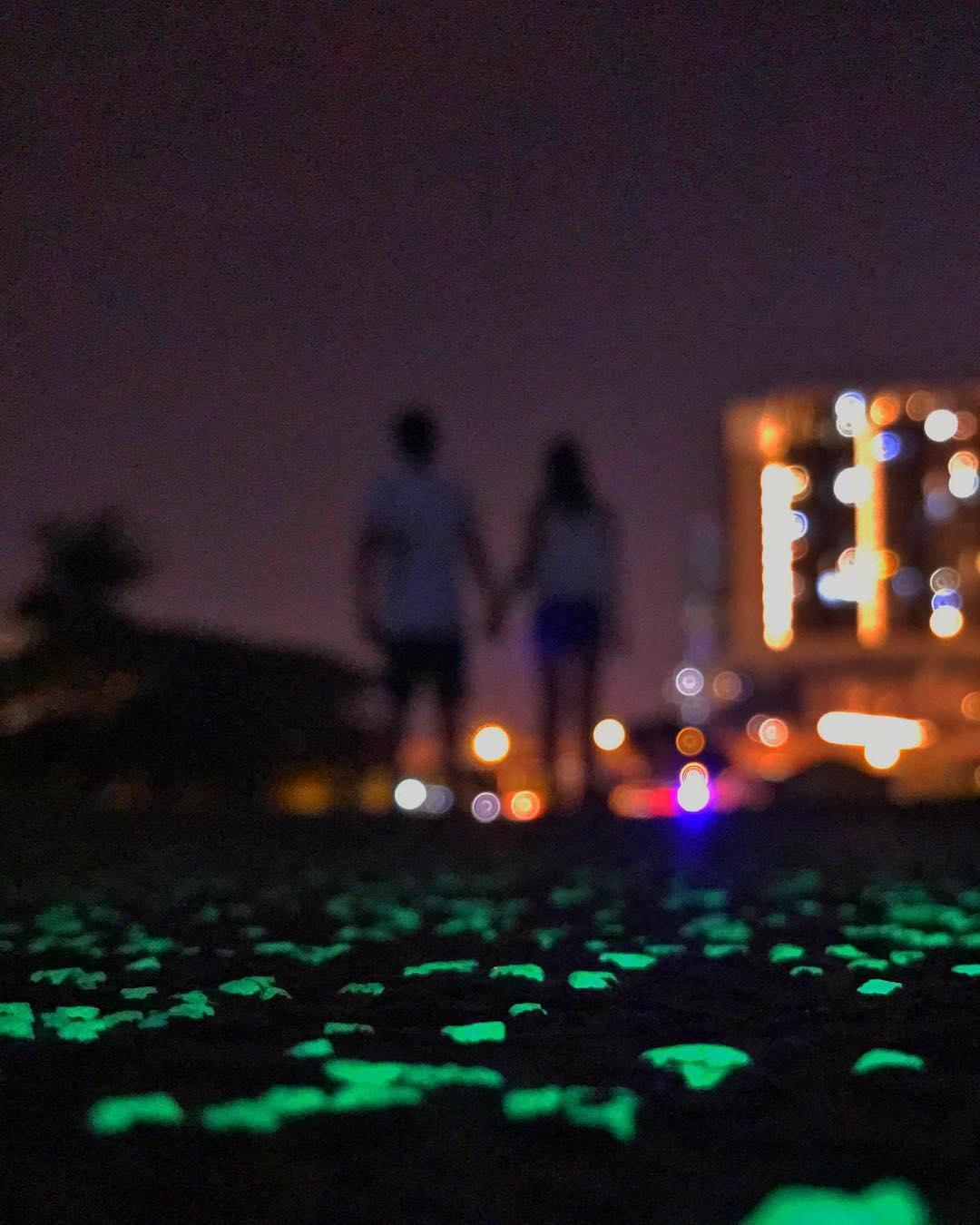 glow in the dark path