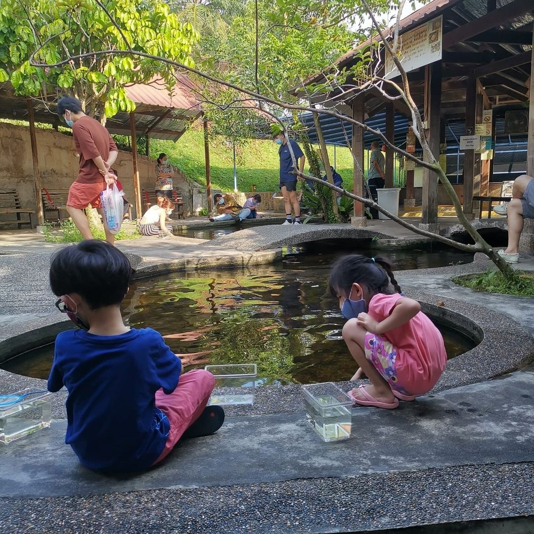 longkang fishing in singapore