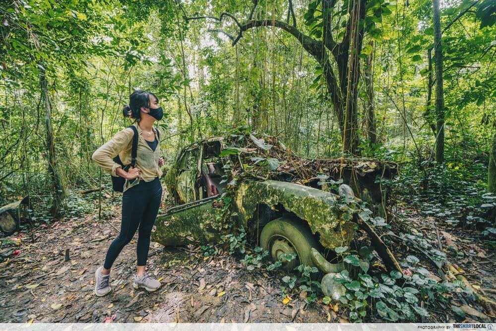 hiking the avatar trees