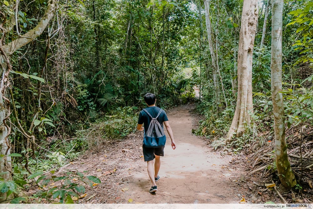 12 Best Things To Do In Bishan - Scenic Hiking Trails, Ice Cold Chicken Rice & Late-Night Supper Spots
