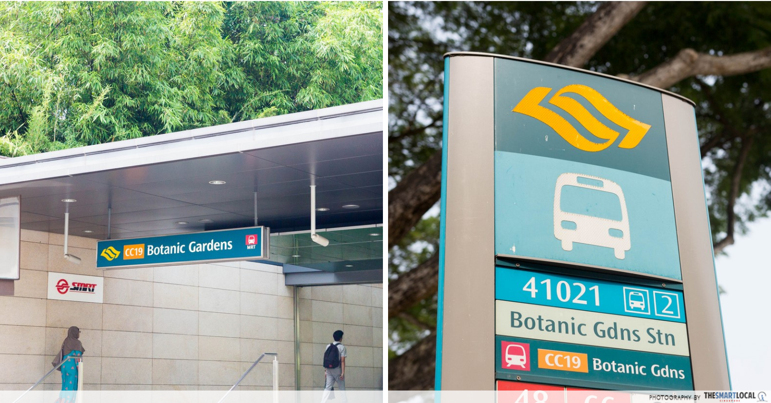 The Grandstand Turf Club Road - Botanic Gardens MRT Bus Stop