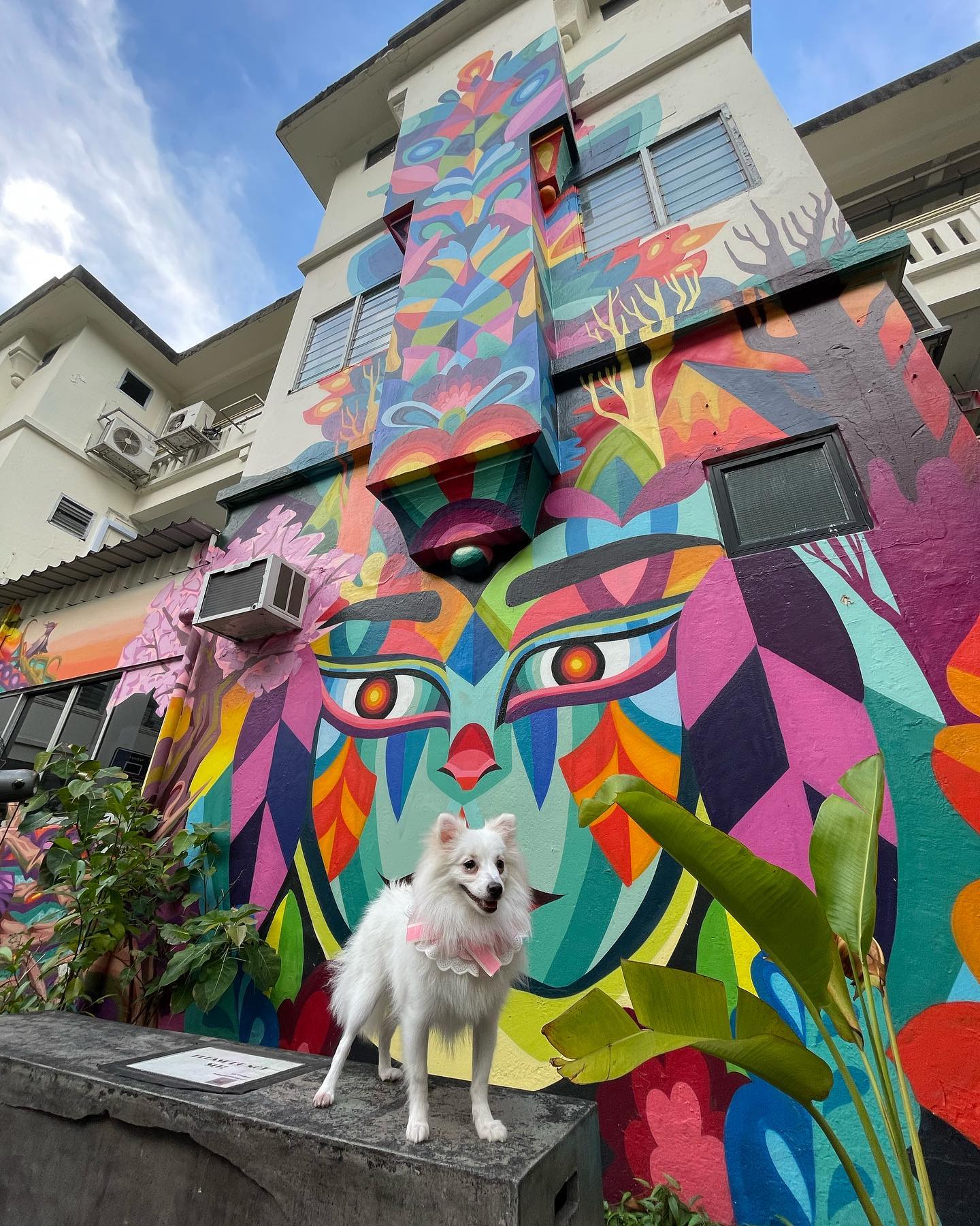 instagrammable things to do singapore - 195 pearl's hill