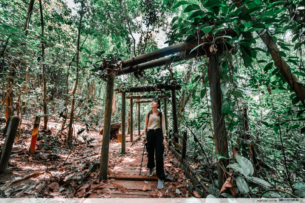instagrammable things to do singapore - bukit batok hillside park