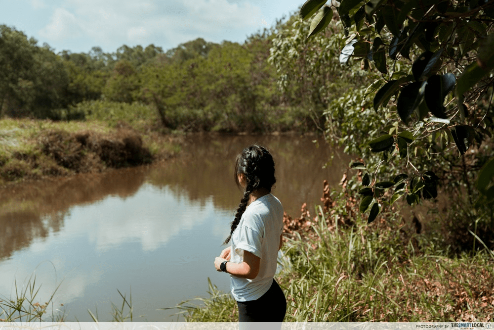 instagrammable things to do singapore - tampines eco green