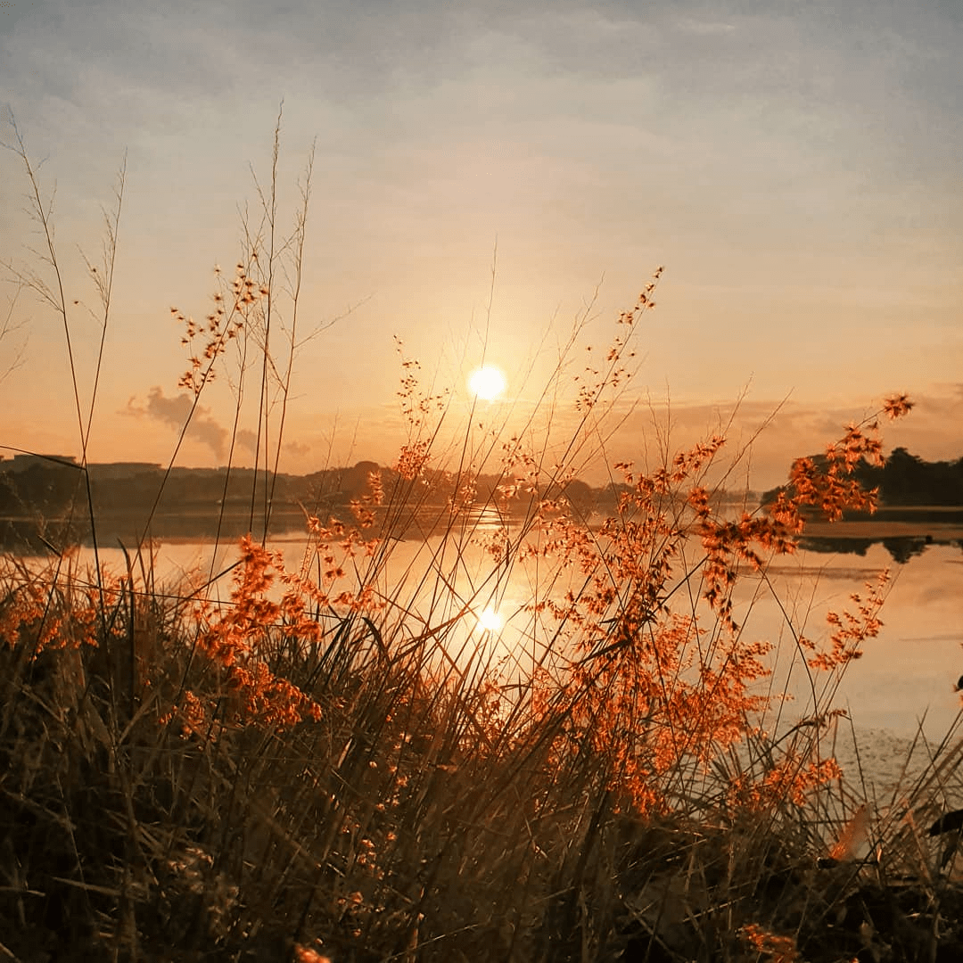 orange sunset in Singapore 