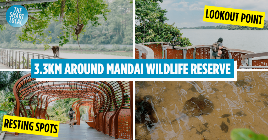 Mandai Boardwalk Trail Cover