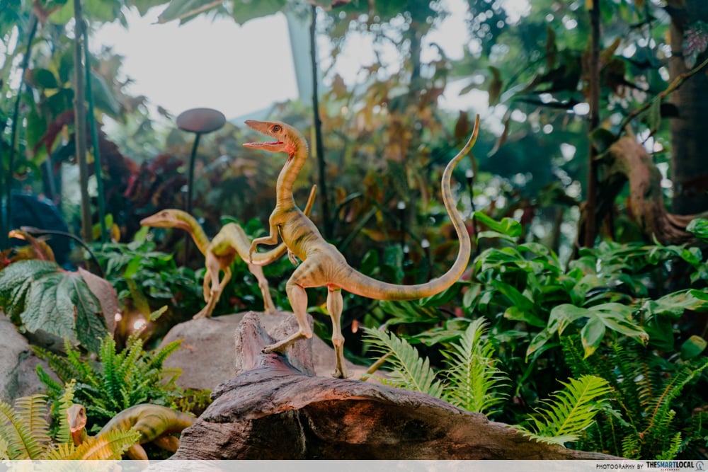 Composognathus